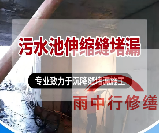 邵阳2026年高分子防水卷材成高端市场主流，光伏屋面需求爆发