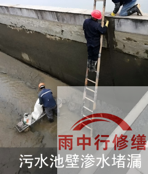 邵阳2026年防水龙头半月两次涨价，行业格局重塑信号